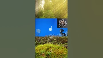 Blowing up rocket TNT in Minecraft #minecraft #gaming #shorts