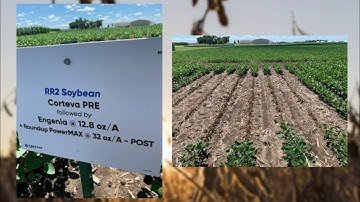 Enlist™ weed control system vs. Roundup Ready® 2 Xtend: Cross Tolerance Issues