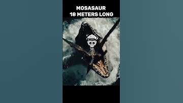 GOJIRA VS MULTIVERSE SIZE COMPARISON #shortsvideo #edit #animals #shortsviral #shorts