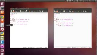 Mastery 18: Nested Conditionals, Python 3 Net Worth