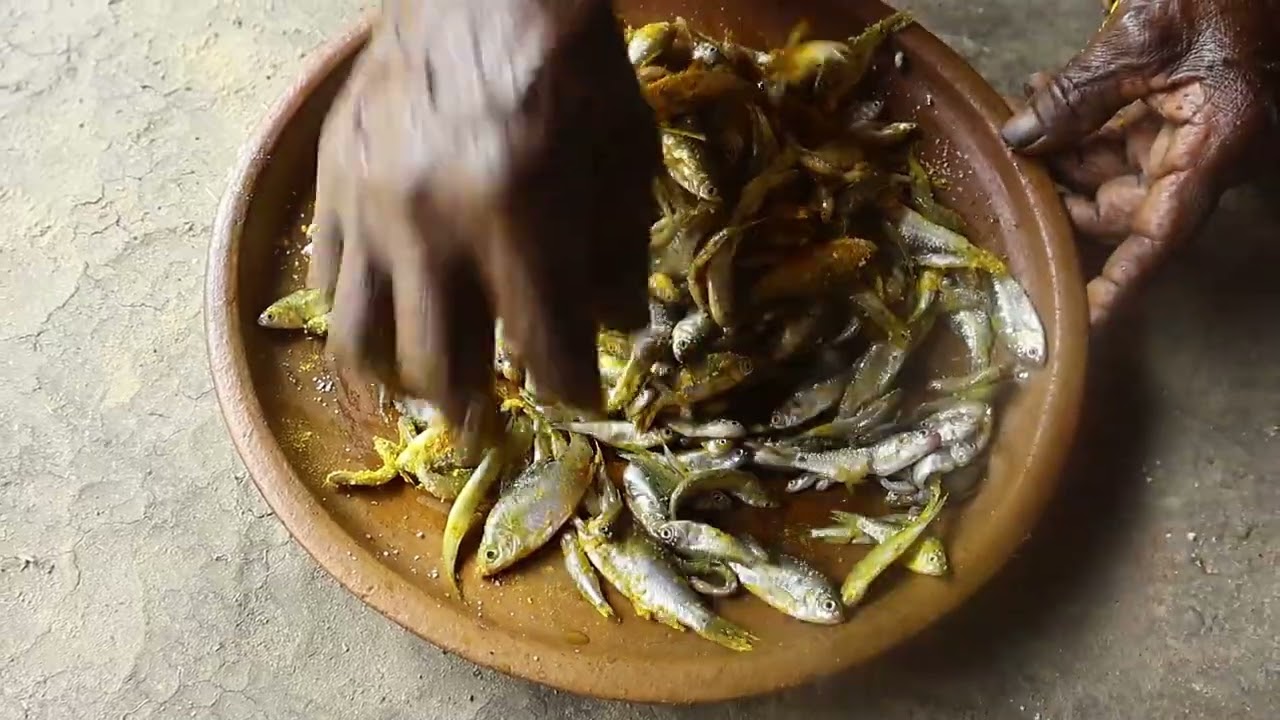 ⁣Puti macher paturi | grandma cooking fish #tribecooking #villagecooking #cooking