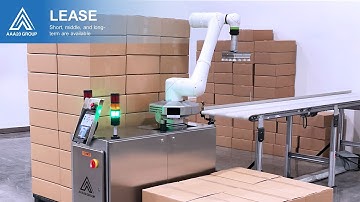 CP-22 by AAA20 Group (A collaborative palletizing robot)