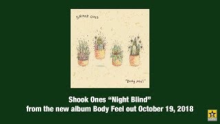 Watch Shook Ones Night Blind video