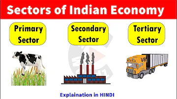 What are the 11 sectors?