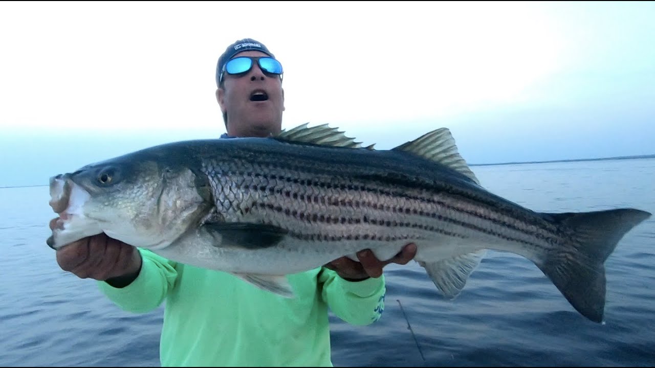 Episode 69 "Spooks N Spoons" Striped Bass Fishing In Raritan Bay