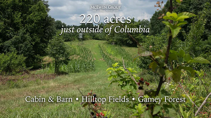220 Acres with cabin & barn - FOR SALE
