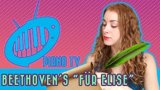 How to play Fur Elise by Beethoven: Beginner Piano