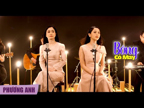 Video: Cỏ Bông