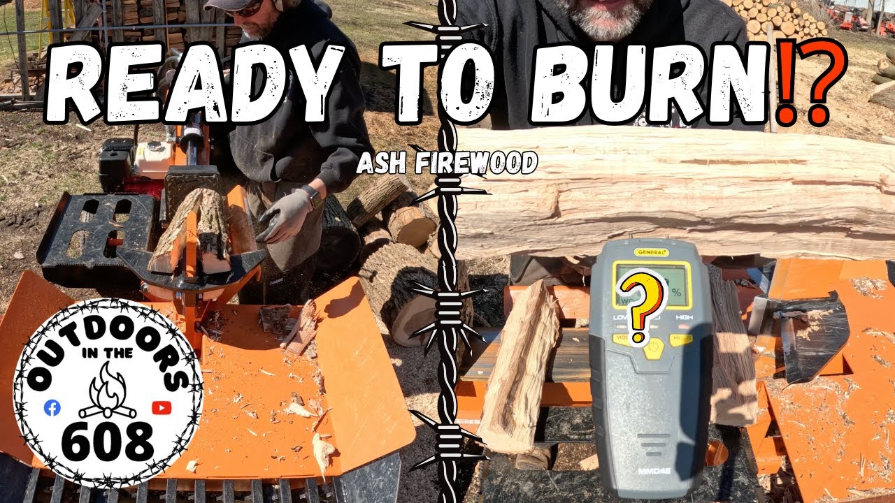 Ready to Burn Firewood⁉️🤷‍♂️ - YouTube