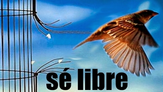 Sé LIBRE de ataduras