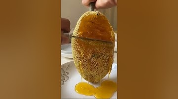 (سورة لقمان) اية(11)