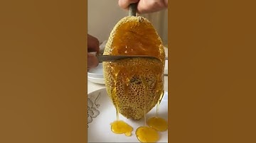 (سورة لقمان) اية(11)