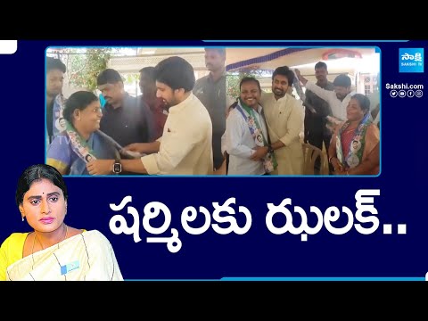 Congress Party Leaders Joined In YSRCP In the Presence Of Bhumana Abhinay Reddy | @SakshiTV - SAKSHITV