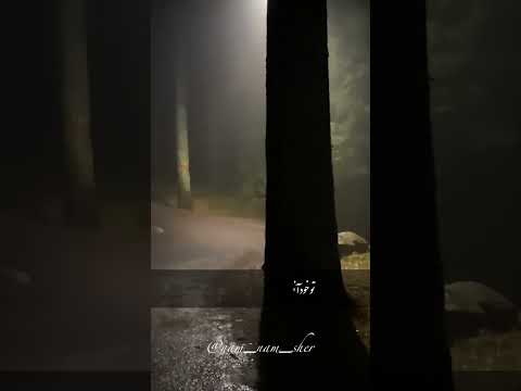 شعر زیبا از شفيعي كدكني نفسم گرفت ازین شب در این حصار بشکن