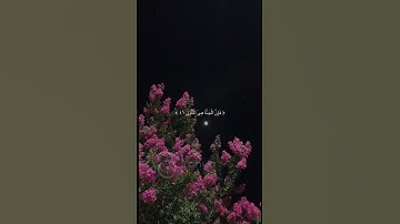 #القرآن_الكريم #تلاوات #ماهر_المعيقلي #تلاوت #مشاري_العفاسي #تلاوة_خاشعة #قرآن #ترتیل #quran #quran