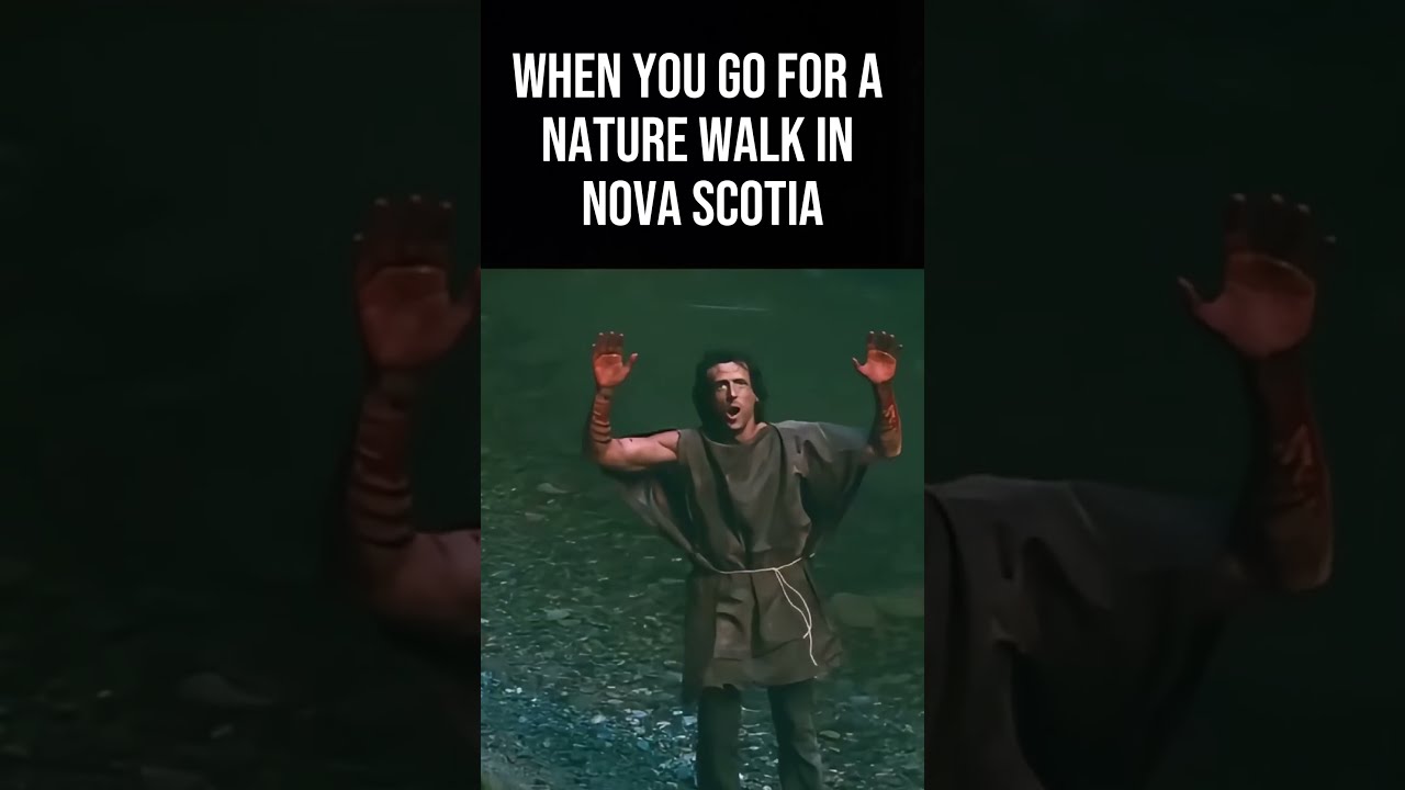 Nova Scotia Just Banned Hiking Fishing And Entering The Woods Novascotia Canada Fires