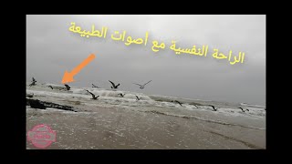 The beauty of the sea  ربع ساعة مع جمال البحر