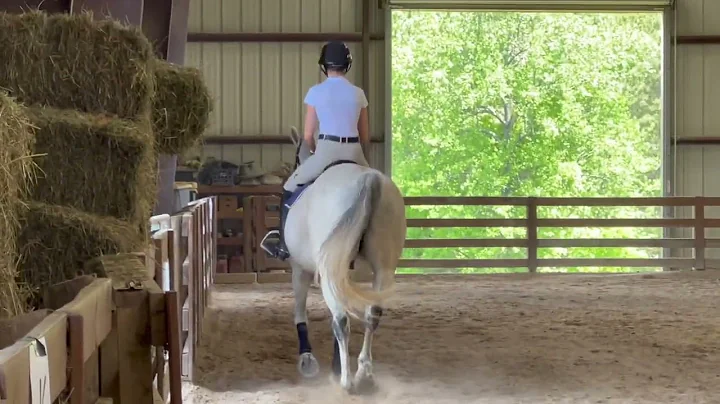 #7 Kate Leonard - NCEA Flat Test on Cassio B April...