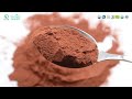Grape seed Extract Proanthocyanidins 95%