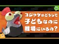 【考察】コジャケは子供？ なのにどうして戦場に出てくるの？ - Splatoon2【SPLABO!】