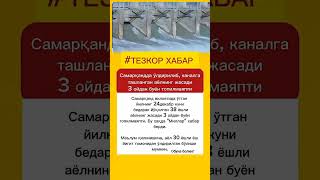 #motivation #тезкабар #ана холос #рекомендации