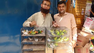 Birds Market Lalukhet Sunday Video Latest Update 1-5-22 Urdu\/Hindi