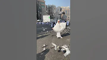 يا أرض مكة 