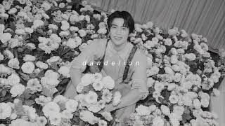 Download Lagu jaehyun - dandelion (sped up + reverb) MP3 Download Lagu jaehyun - dandelion (sped up + reverb) MP3
