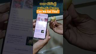 Research Findings - Google Lens #research #experiment #googlesearch #googlelens #roseapple #apple