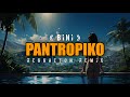 Pantropiko remix  djjurlan remix  official visualizer