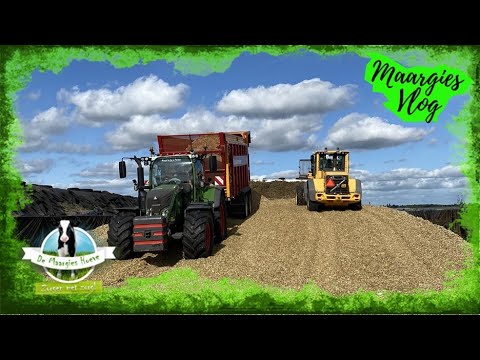 Vlog 126, 16 sept. 2022