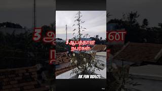 மூன்று பேர்#viralvideo #viralshorts #AK fun #shortvideo #cat #funny #cats