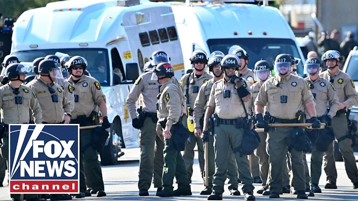 ICE arrests Illinois police officer living in US illegally: 'Disturbing'