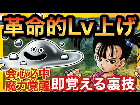 Dragon Quest 3 Remake] Highly efficient leveling! Explanation of a