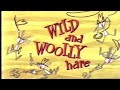 Looney tunes wild and woolly hare opening and closing