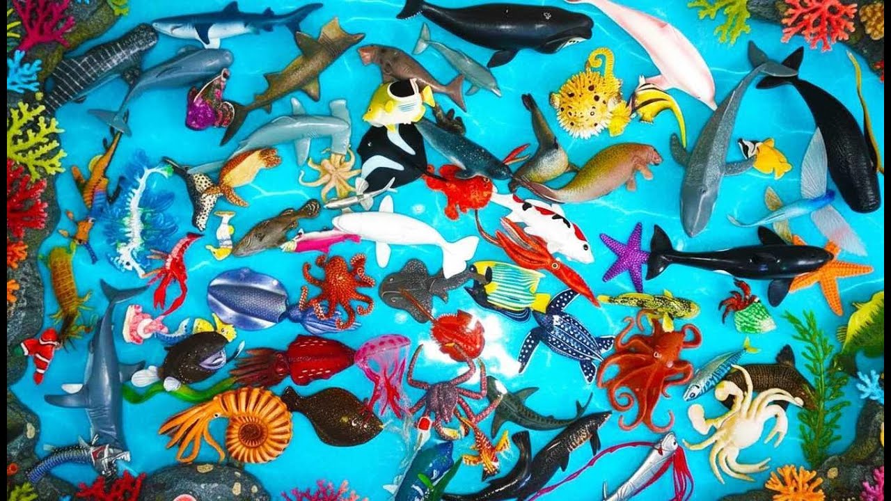 Огромные игрушки для детей: морские животные. Видео для детей. Выучите названия морских животных ...