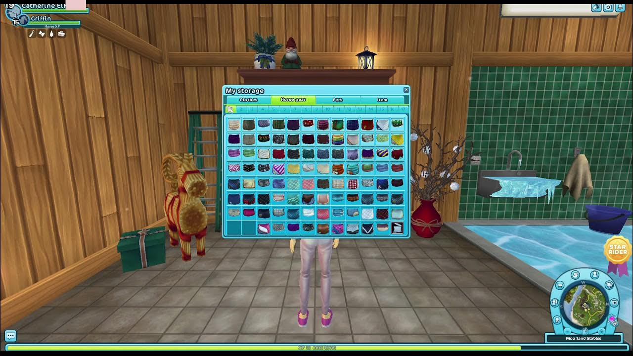 Star Stable Account For Sale \\ Catherine Elf... YouTube
