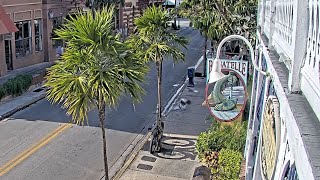 [LIVE] Bagatelle Key West Duval Street Cam