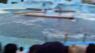Mundo Marino