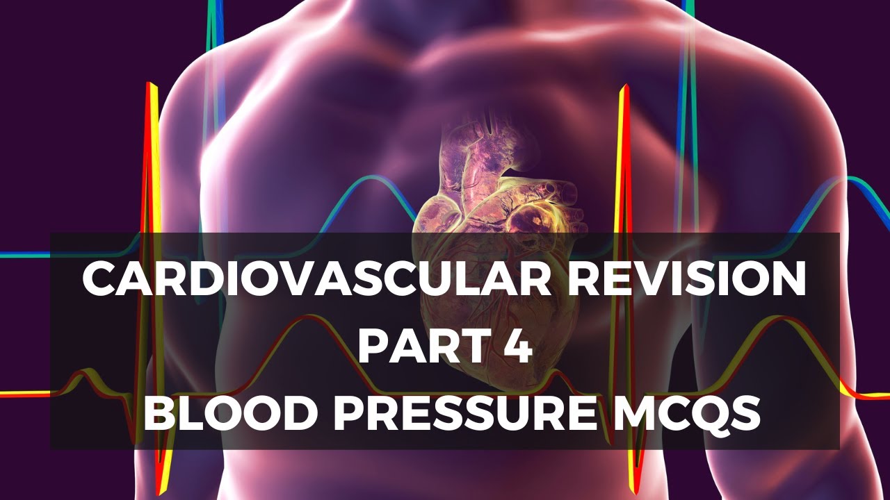 Cardiovascular Physiology MCQs Part 4 Blood Pressure YouTube