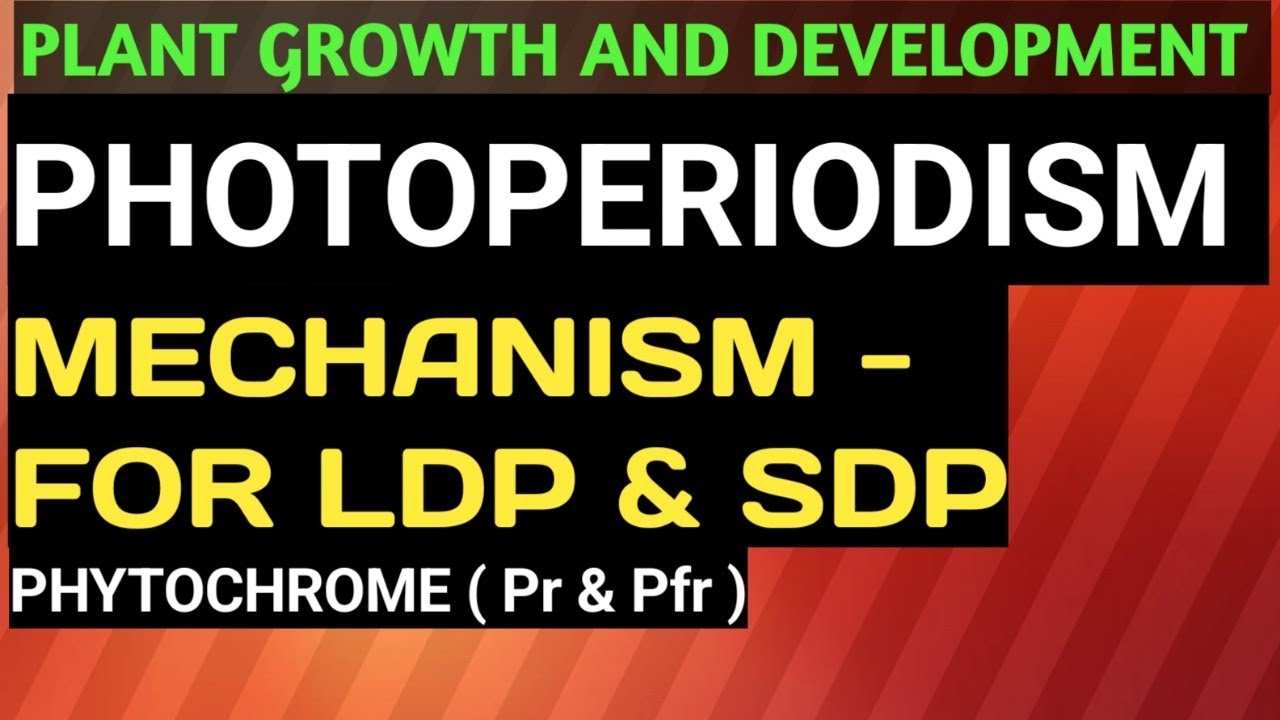 Plant Growth & Development - #mechanism_of_photoperiodism