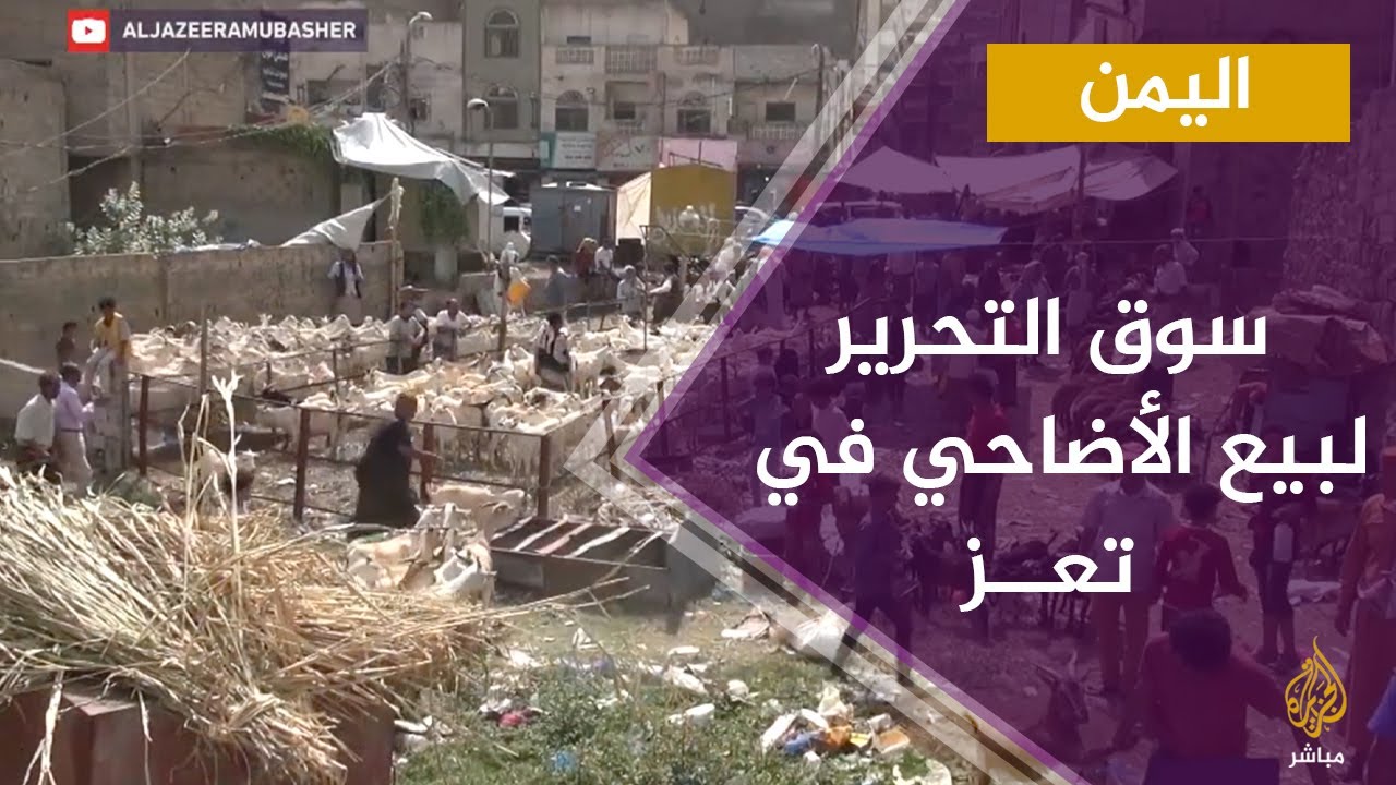 جولة في سوق التحرير المخصص لبيع الأضاحي في مدينة تعز اليمنية
