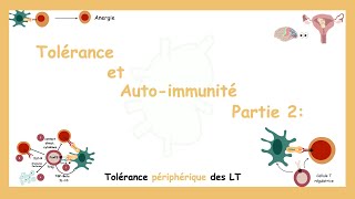 Tolérance Et Auto-Immunité Partie 2: Tolérance Périphérique Des LT.