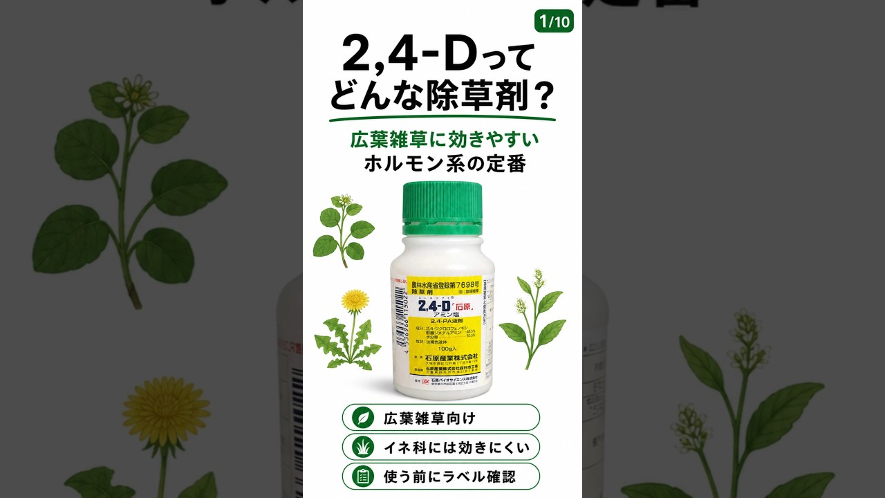 【除草剤】2,4-Dについて #除草剤 #農業 #雑草 #雑草対策