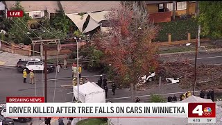 Tree crashes onto cars in Winnetka, killing a driver