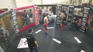 Usman Shah VS Habib Ullah Fight | MMA  Fight | Warrior Wolves