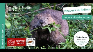 Beavers in Britain: Now and in the Future