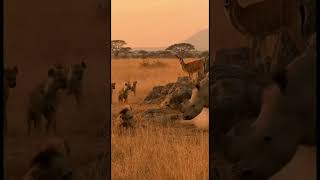 What Giant Creature Was Found in the Savanna? | EP1