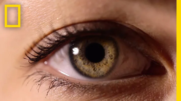 Eyes: The Windows to Your Health | National Geographic - DayDayNews