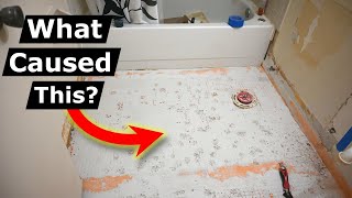 Schluter Ditra FAIL Tile Install: You WON'T Believe Cause!